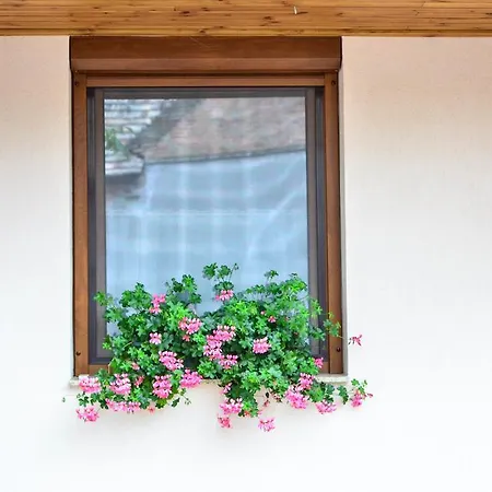 Apartment Pava Apartmanhaz *