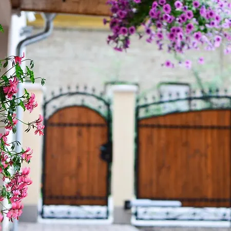 Pava Apartmanhaz Apartment Makó