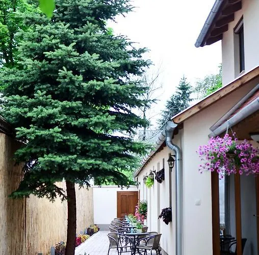 Páva Apartamento Makó