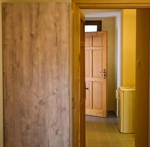 Páva